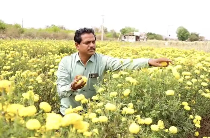 Adarsh Swarajya | फुलशेती मधून दरवळला आत्मनिर्भरतेचा सुगंध !